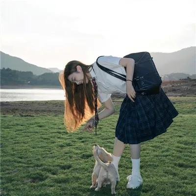 奔月